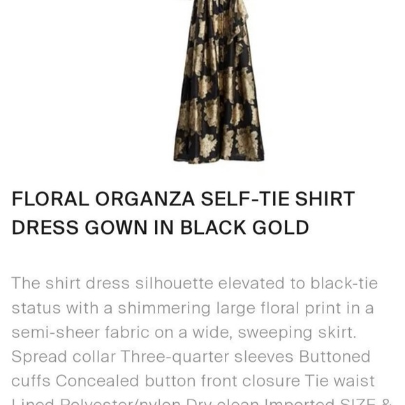 Terijon Dress size 10 - Picture 4 of 10